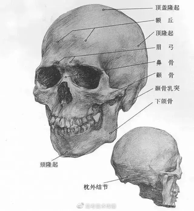 10个技巧让你的素描头发看起来不死板有质感