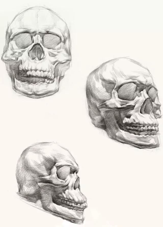 人物素描三庭五眼基础教学