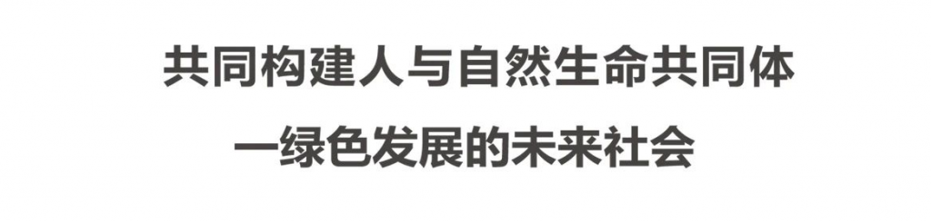 2025年日本大阪世博会中国馆展陈创意征集大赛